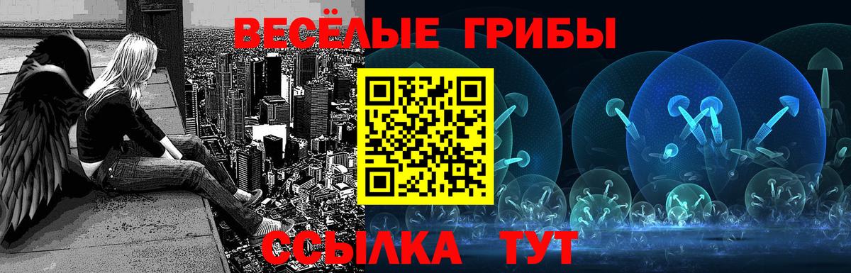 Галлюциногенные грибы Psilocybe Чита